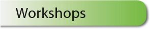 Workshops